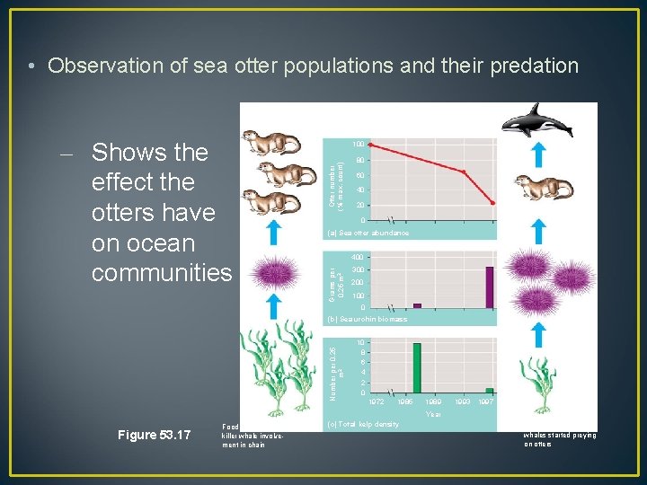  • Observation of sea otter populations and their predation Otter number (% max.