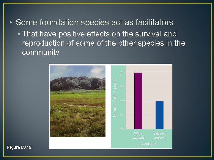  • Some foundation species act as facilitators • That have positive effects on