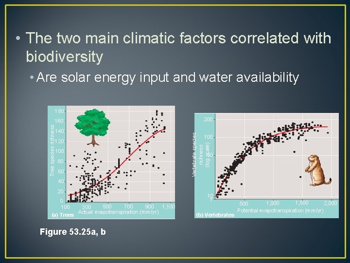  • The two main climatic factors correlated with biodiversity • Are solar energy