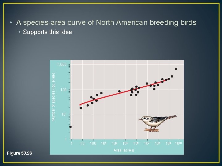  • A species-area curve of North American breeding birds • Supports this idea