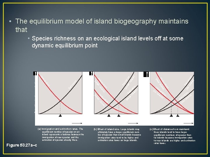  • The equilibrium model of island biogeography maintains that Far island Ex tin