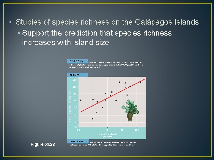  • Studies of species richness on the Galápagos Islands • Support the prediction
