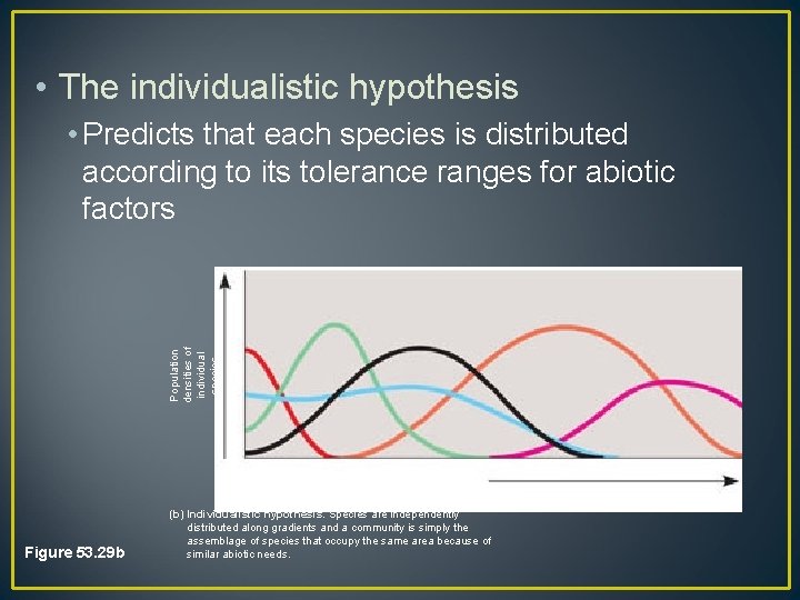  • The individualistic hypothesis Population densities of individual species • Predicts that each