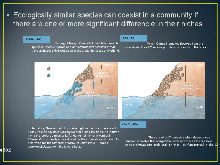  • Ecologically similar species can coexist in a community If there are one