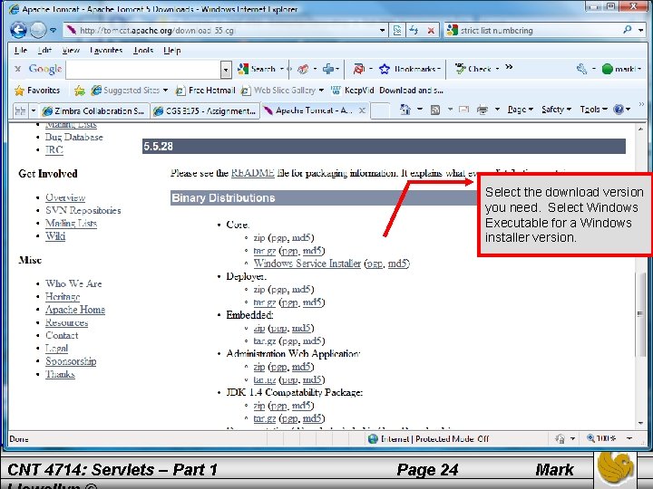 Select the download version you need. Select Windows Executable for a Windows installer version.