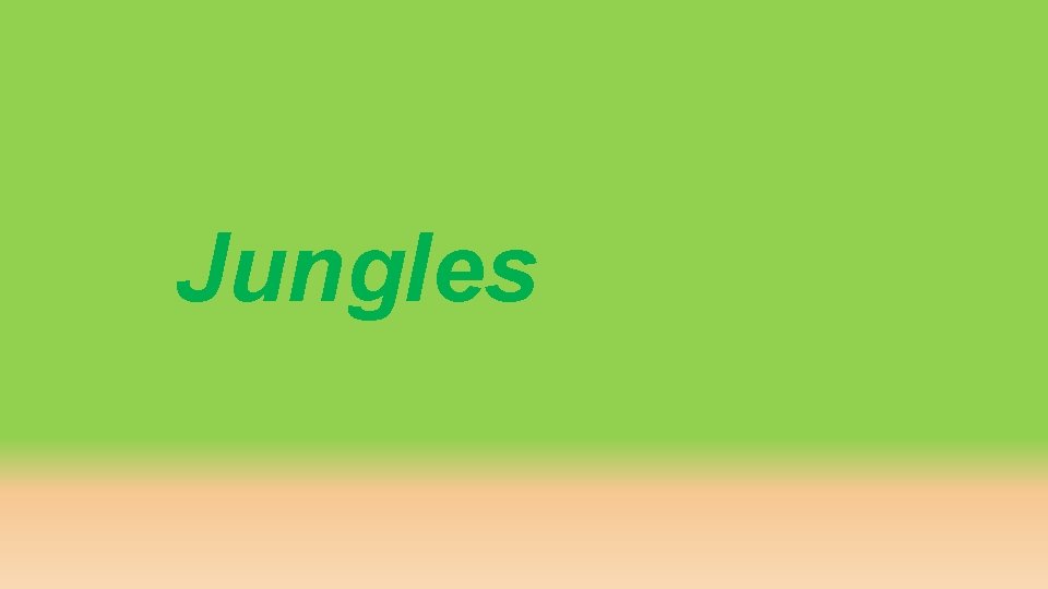 Jungles 