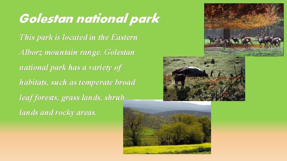 Golestan national park This park is located in the Eastern Alborz mountain range. Golestan