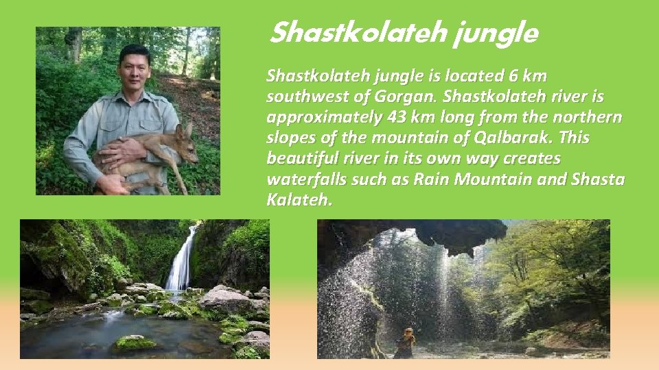 Shastkolateh jungle is located 6 km southwest of Gorgan. Shastkolateh river is approximately 43