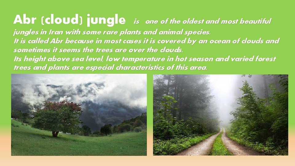 Abr (cloud) jungle is one of the oldest and most beautiful jungles in Iran