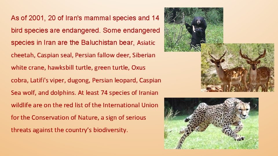 As of 2001, 20 of Iran's mammal species and 14 bird species are endangered.