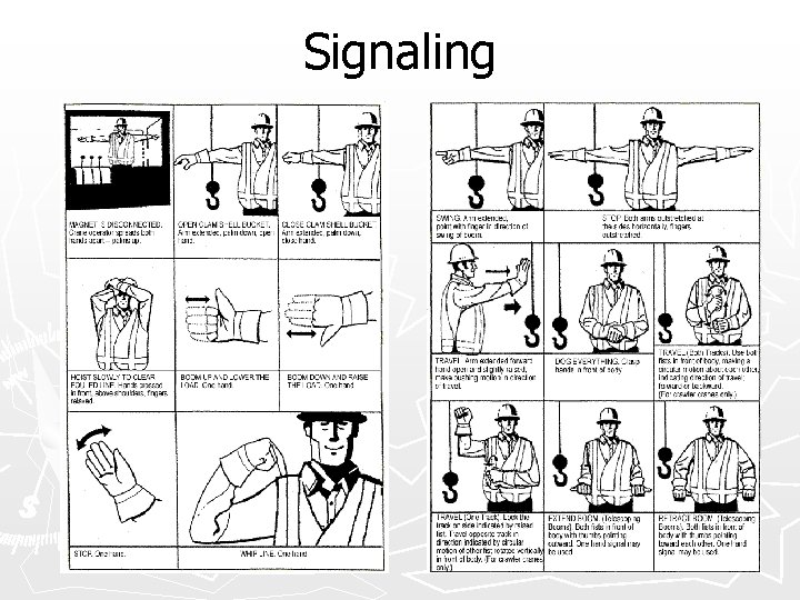 Signaling 
