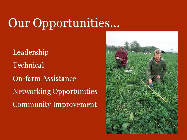 Our Opportunities… Leadership Technical On-farm Assistance Networking Opportunities Community Improvement 