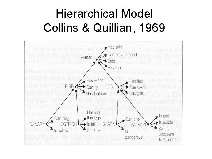 Hierarchical Model Collins & Quillian, 1969 