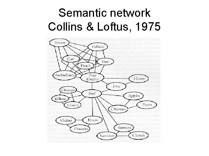 Semantic network Collins & Loftus, 1975 