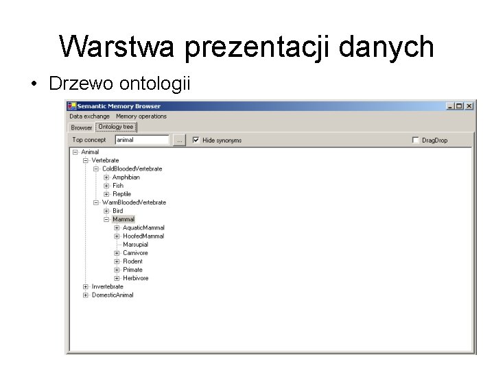 Warstwa prezentacji danych • Drzewo ontologii 