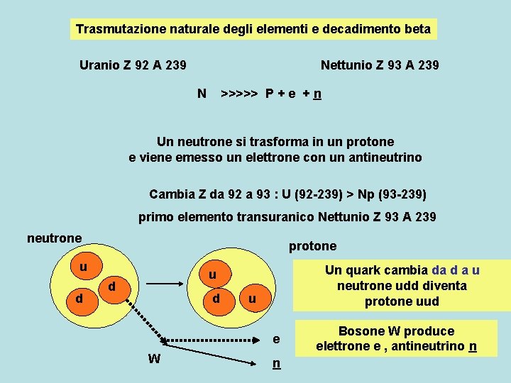 Trasmutazione naturale degli elementi e decadimento beta Uranio Z 92 A 239 Nettunio Z