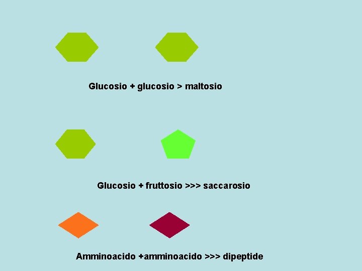 Glucosio + glucosio > maltosio Glucosio + fruttosio >>> saccarosio Amminoacido +amminoacido >>> dipeptide