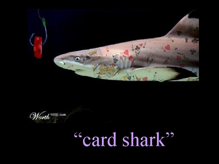 “card shark” 