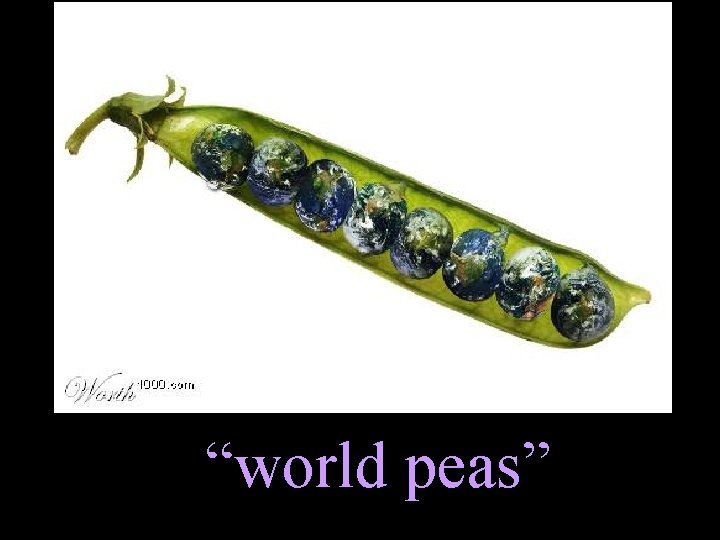 “world peas” 