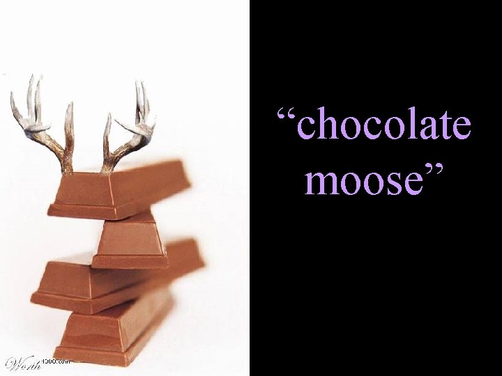 “chocolate moose” 