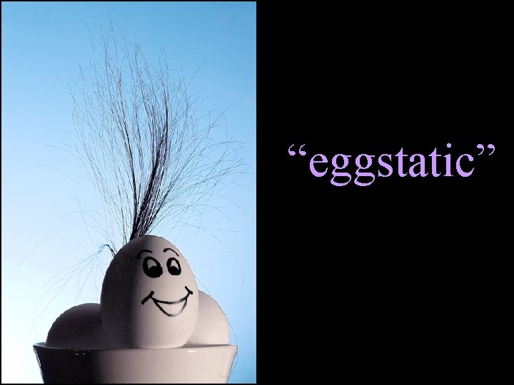 “eggstatic” 