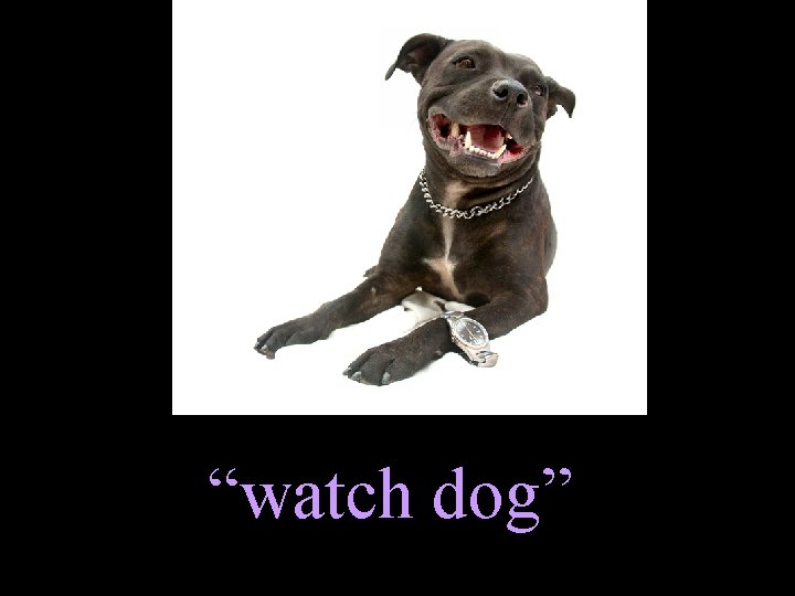 “watch dog” 