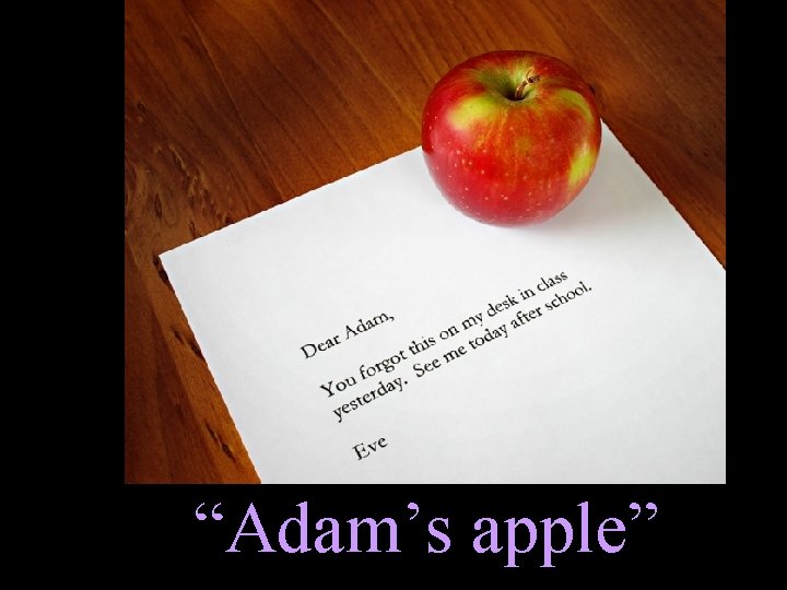 “Adam’s apple” 