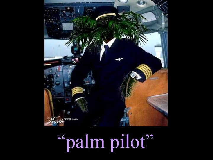 “palm pilot” 