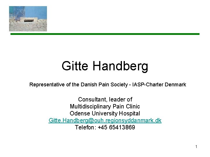 Gitte Handberg Representative of the Danish Pain Society - IASP-Charter Denmark Consultant, leader of