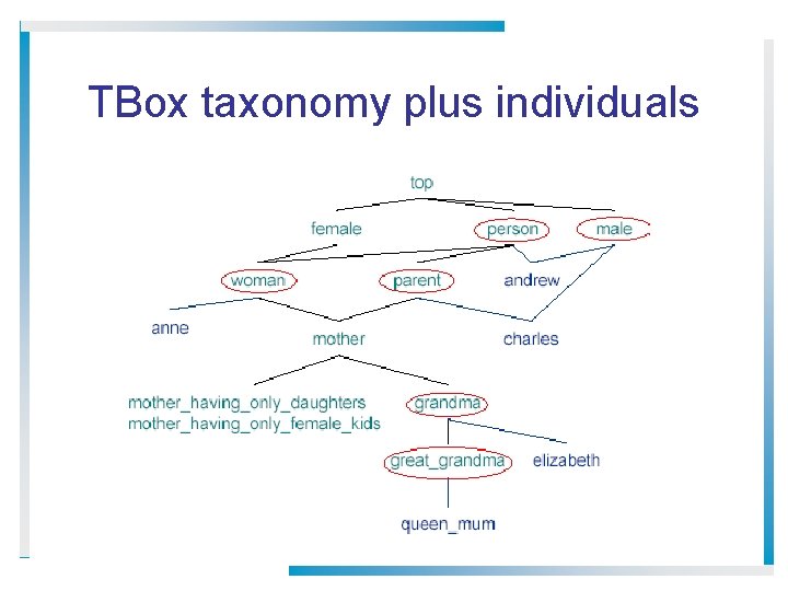 TBox taxonomy plus individuals 