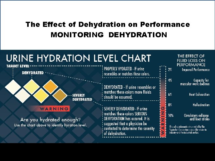 The Effect of Dehydration on Performance MONITORING DEHYDRATION 