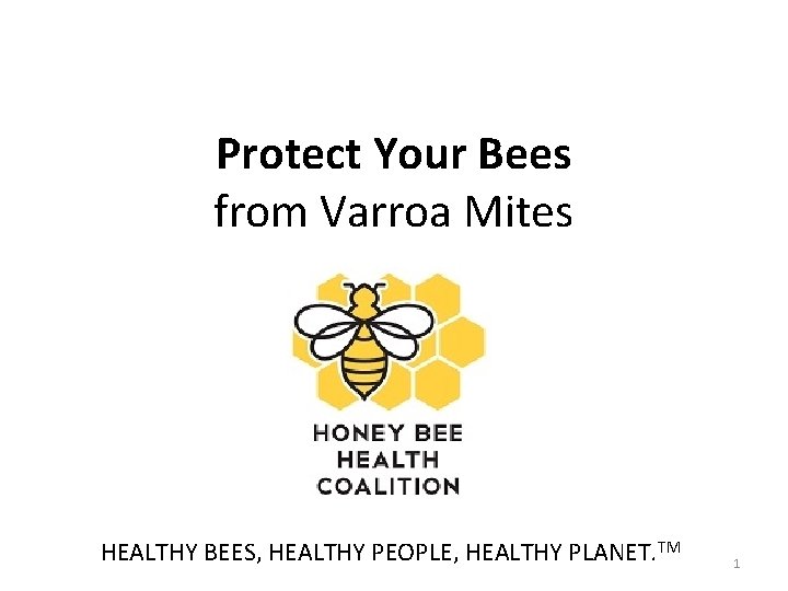 Protect Your Bees from Varroa Mites HEALTHY BEES, HEALTHY PEOPLE, HEALTHY PLANET. TM 1