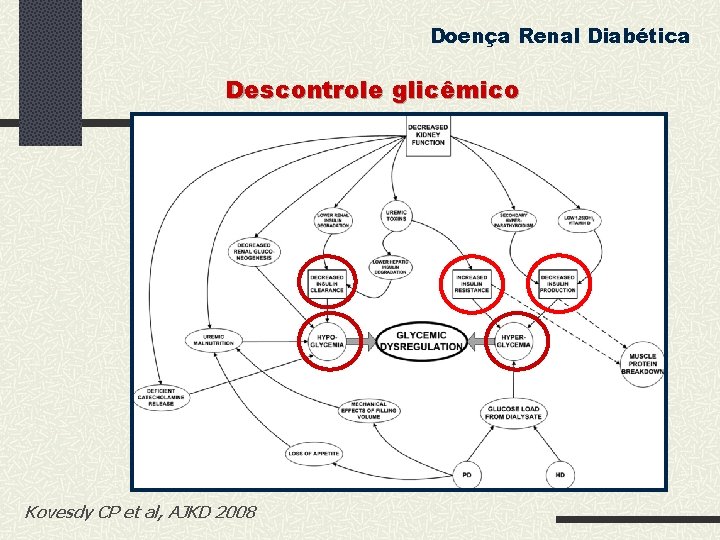 Doença Renal Diabética Descontrole glicêmico Kovesdy CP et al, AJKD 2008 