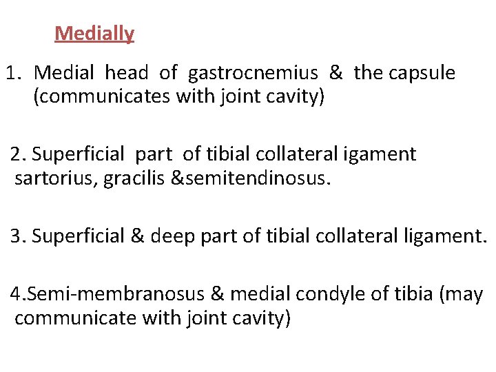 Medially 1. Medial head of gastrocnemius & the capsule (communicates with joint cavity) 2.