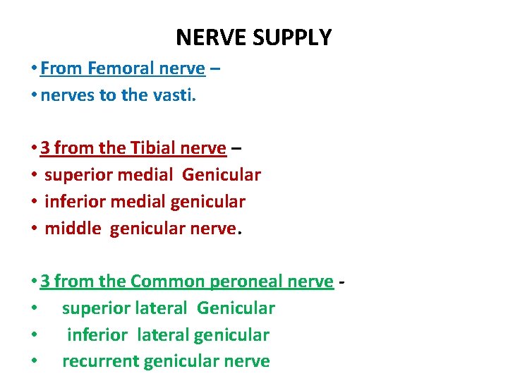 NERVE SUPPLY • From Femoral nerve – • nerves to the vasti. • 3