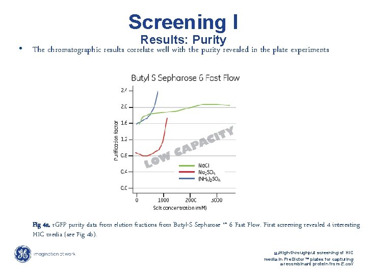 Screening I Results: Purity • The chromatographic results correlate well with the purity revealed