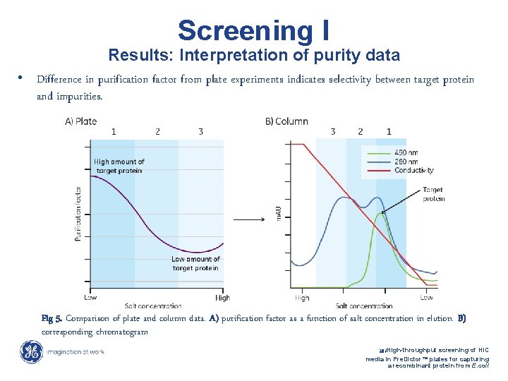 Screening I Results: Interpretation of purity data • Difference in purification factor from plate