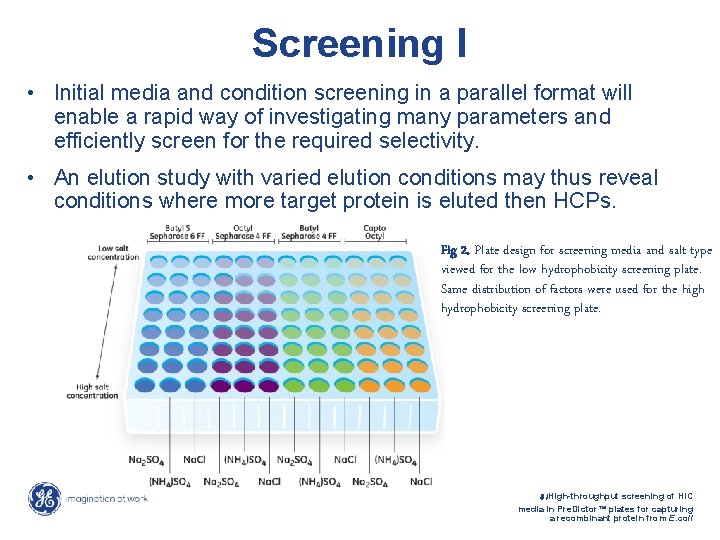 Screening I • Initial media and condition screening in a parallel format will enable