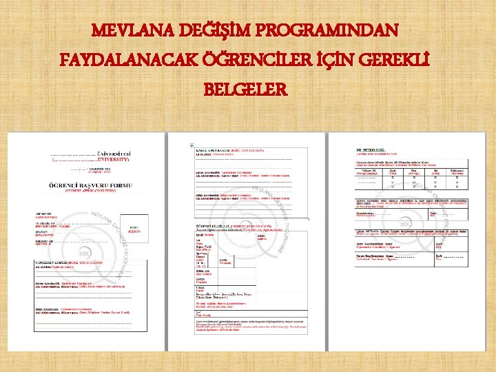 MEVLANA DEĞİŞİM PROGRAMINDAN FAYDALANACAK ÖĞRENCİLER İÇİN GEREKLİ BELGELER 