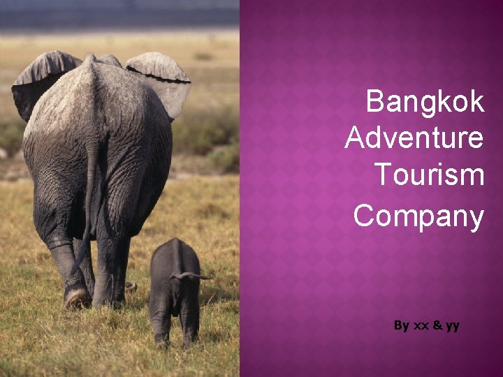 Bangkok Adventure Tourism Company By xx & yy 