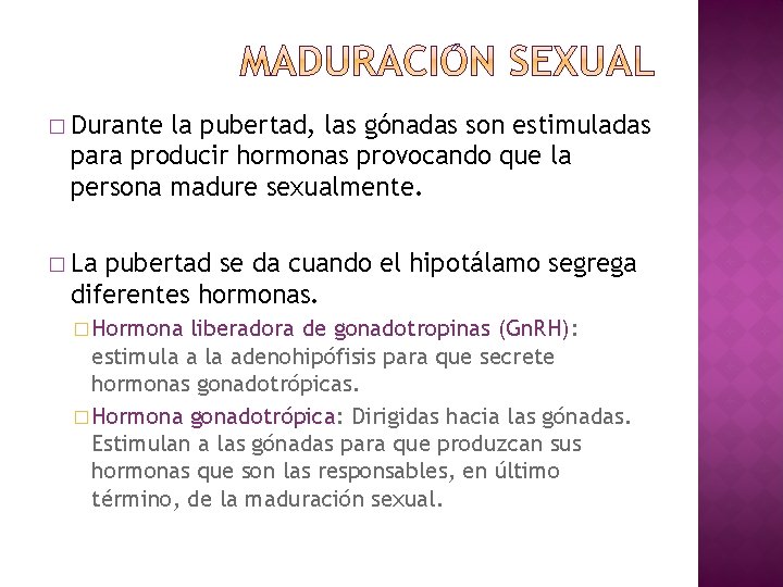 � Durante la pubertad, las gónadas son estimuladas para producir hormonas provocando que la