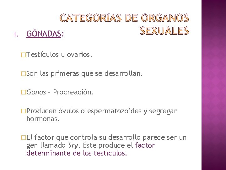 1. GÓNADAS: �Testículos �Son u ovarios. las primeras que se desarrollan. �Gonos – Procreación.