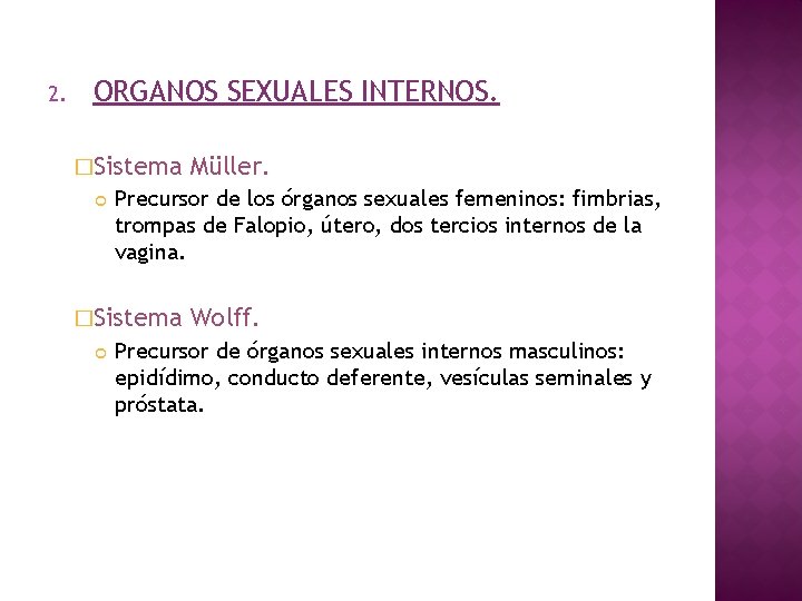 2. ORGANOS SEXUALES INTERNOS. �Sistema Precursor de los órganos sexuales femeninos: fimbrias, trompas de
