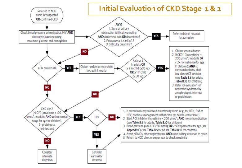 Initial Evaluation of CKD Stage 1 & 2 