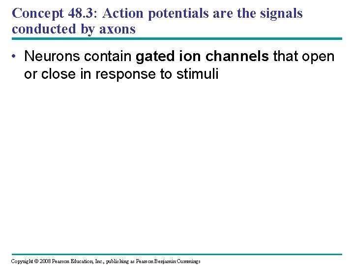 Concept 48. 3: Action potentials are the signals conducted by axons • Neurons contain