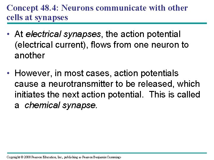 Concept 48. 4: Neurons communicate with other cells at synapses • At electrical synapses,