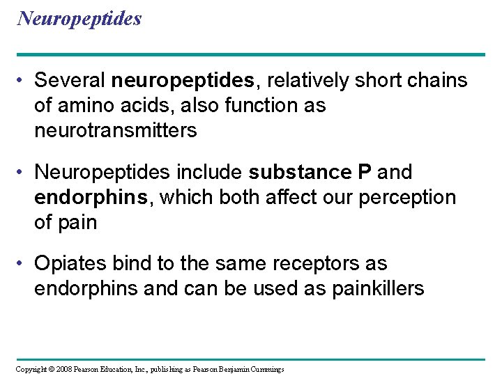 Neuropeptides • Several neuropeptides, relatively short chains of amino acids, also function as neurotransmitters