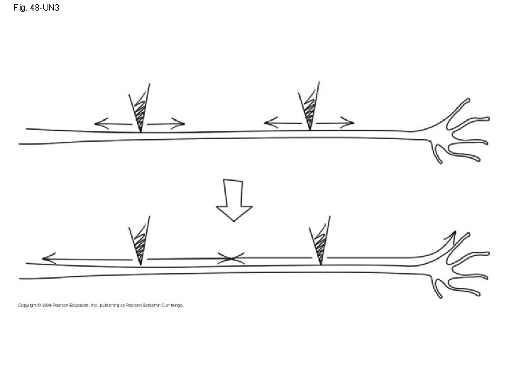 Fig. 48 -UN 3 