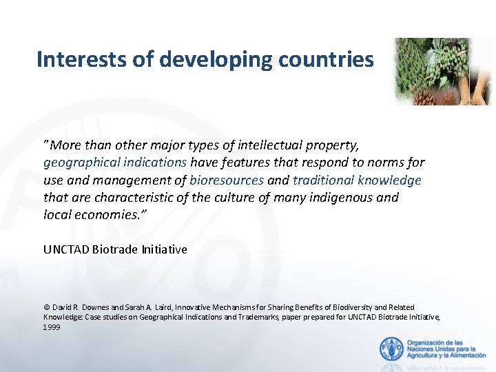 Interests of developing countries ”More than other major types of intellectual property, geographical indications