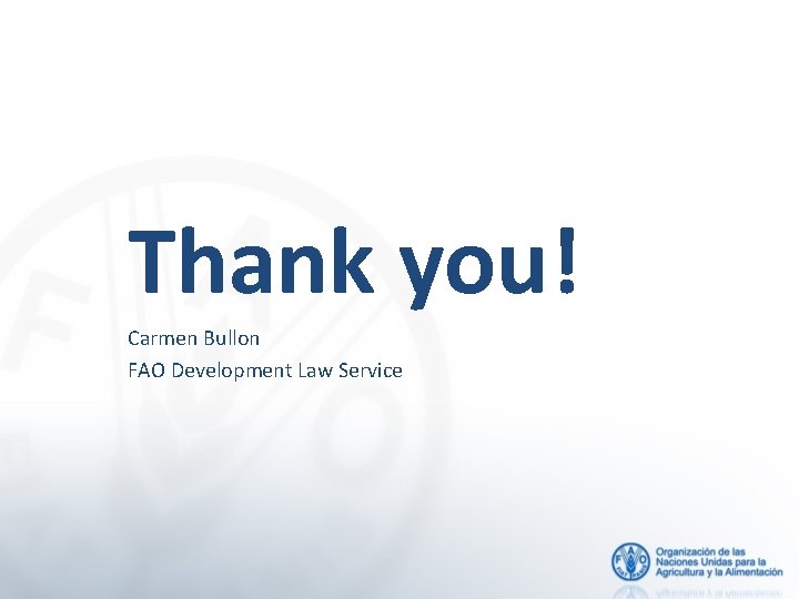 Thank you! Carmen Bullon FAO Development Law Service 
